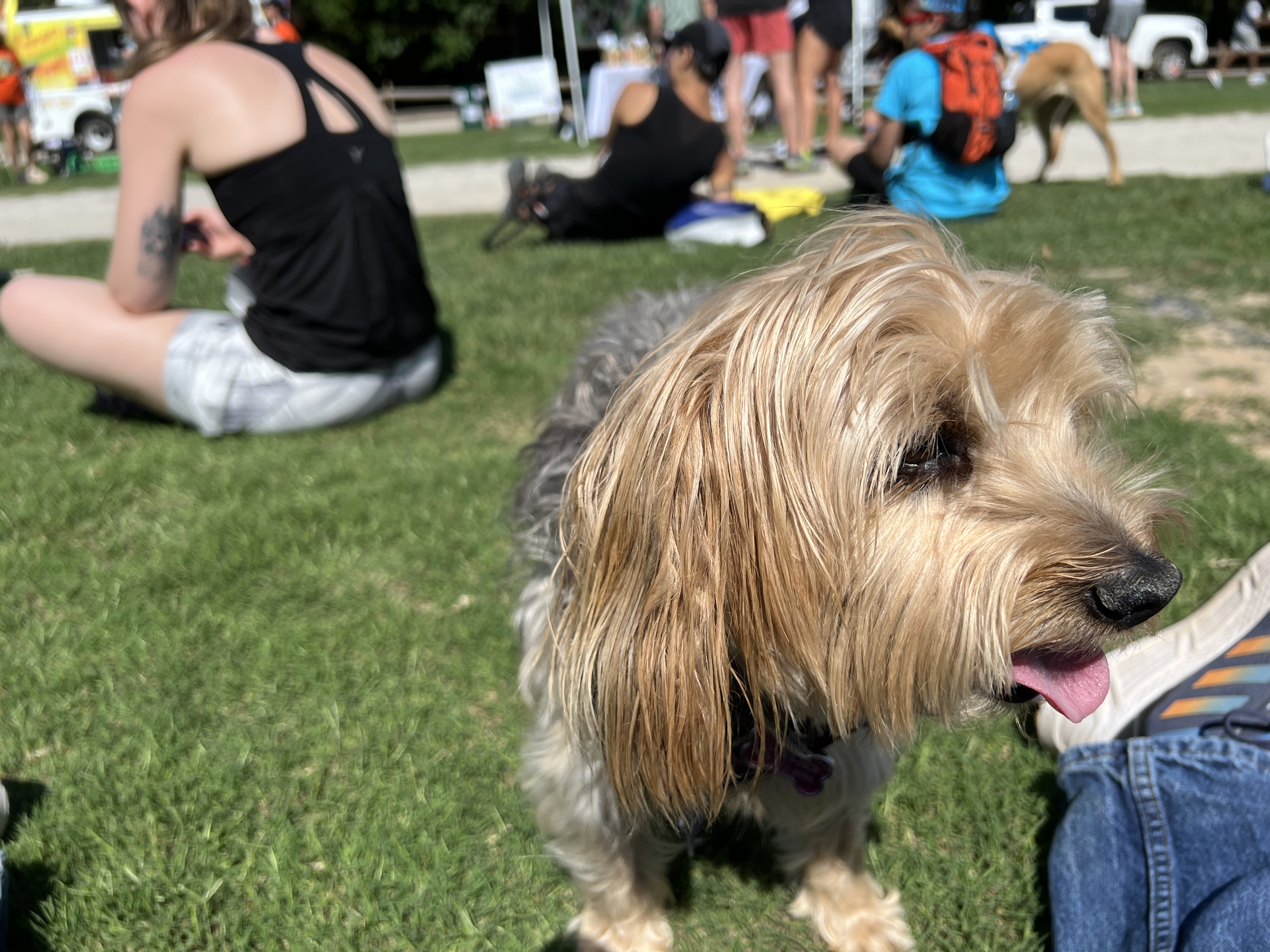 ./2025/05 - Second Chance Race for Rescues/IMG_5655.JPG